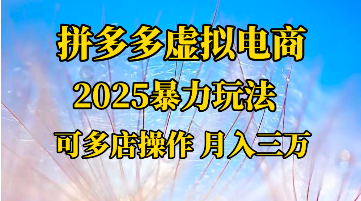 pdd虚拟电商，不囤货不的虚拟电商-胖虎轻创网